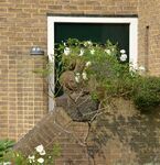 De beplanting verbergt het beeldje, maar niet de halfronde lampvoet.
<br/>
Richard Keijzer, 2014-09-20